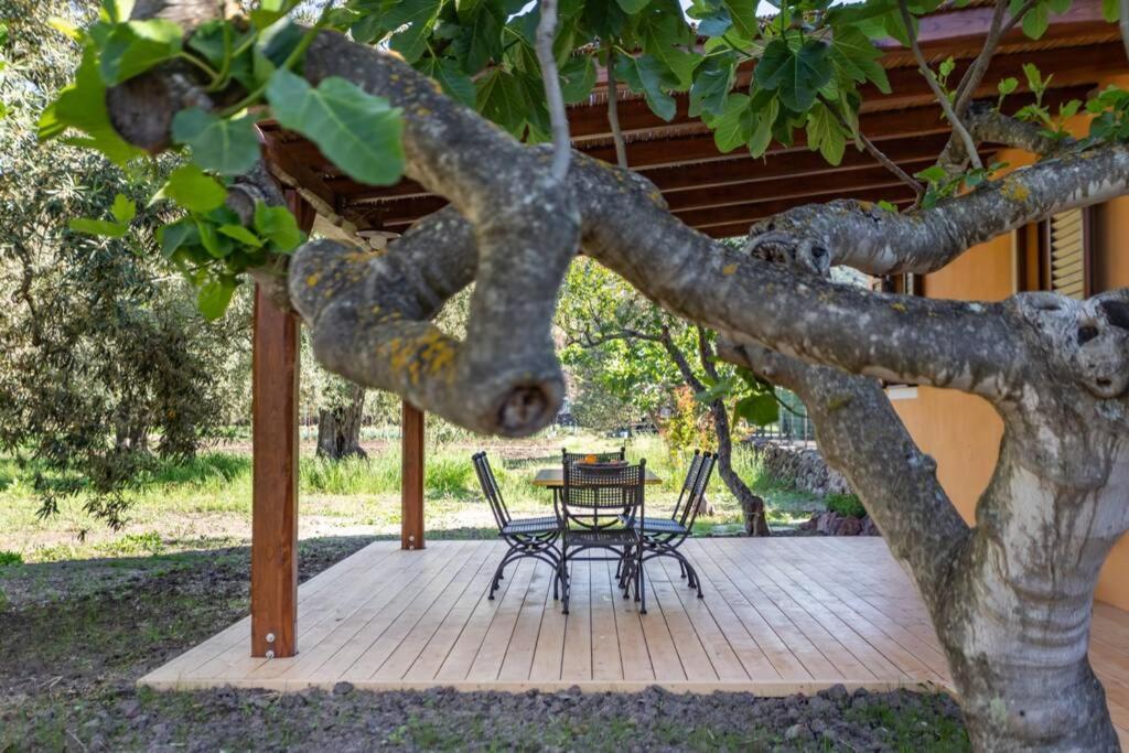 A Charming Country Cottage + Bikes And Kayaks Bosa Exterior photo